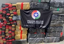 Trio é preso com quase 722 kg de maconha em Joinville Foto mostra tabletes de maconha apreendidos pela Polícia Militar em operação contra o tráfico em Joinville.