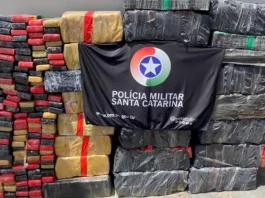 Trio é preso com quase 722 kg de maconha em Joinville Foto mostra tabletes de maconha apreendidos pela Polícia Militar em operação contra o tráfico em Joinville.