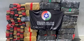 Foto mostra tabletes de maconha apreendidos pela Polícia Militar em operação contra o tráfico em Joinville.