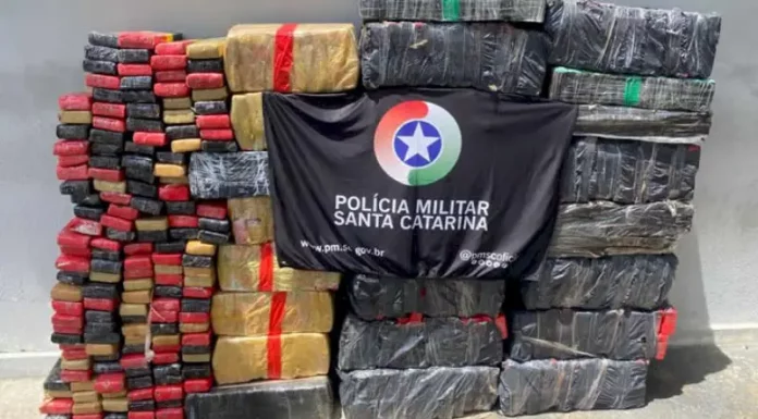 Foto mostra tabletes de maconha apreendidos pela Polícia Militar em operação contra o tráfico em Joinville.