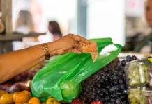 Mulher pagando R$ 20 por frutas na feira, representando a baixa taxa de pobreza e extrema pobreza em Santa Catarina.
