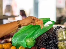 Santa Catarina tem a menor taxa de pobreza e extrema pobreza do Brasil, aponta IBGE Mulher pagando R$ 20 por frutas na feira, representando a baixa taxa de pobreza e extrema pobreza em Santa Catarina.