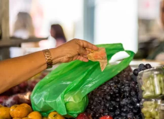 Santa Catarina tem a menor taxa de pobreza e extrema pobreza do Brasil, aponta IBGE Mulher pagando R$ 20 por frutas na feira, representando a baixa taxa de pobreza e extrema pobreza em Santa Catarina.