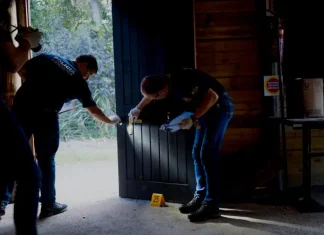 Governo abre concurso para perito oficial criminal com salário inicial de R$ 27,7 mil Perito oficial criminal realiza análise técnica em local de crime para coleta de vestígios e produção de prova pericial.