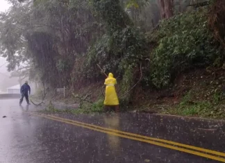 Chuva ultrapassa o esperado para o mês e intensifica alerta para novos temporais e ventos fortes em Santa Catarina Equipes retiram galhos e árvores caídas de uma estrada durante forte chuva em Santa Catarina, ilustrando os impactos dos temporais e os trabalhos de limpeza.