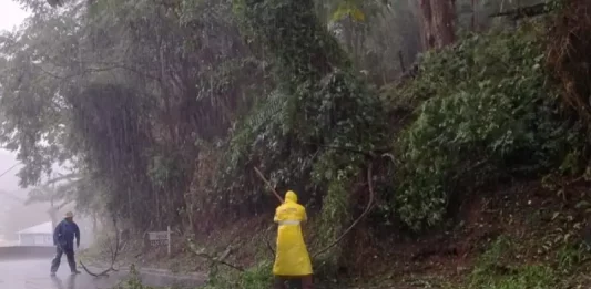Chuva ultrapassa o esperado para o mês e intensifica alerta para novos temporais e ventos fortes em Santa Catarina Equipes retiram galhos e árvores caídas de uma estrada durante forte chuva em Santa Catarina, ilustrando os impactos dos temporais e os trabalhos de limpeza.