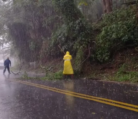 Chuva ultrapassa o esperado para o mês e intensifica alerta para novos temporais e ventos fortes em Santa Catarina Equipes retiram galhos e árvores caídas de uma estrada durante forte chuva em Santa Catarina, ilustrando os impactos dos temporais e os trabalhos de limpeza.
