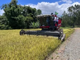 Máquina realiando colheita de arroz