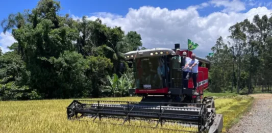 Máquina realiando colheita de arroz
