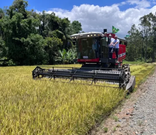 Máquina realiando colheita de arroz
