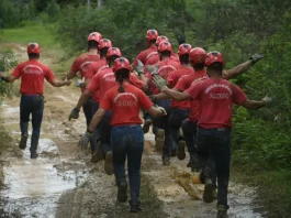 Alunos do Corpo de Bombeiros Militar de Santa Catarina participam de treinamento durante curso de formação.
