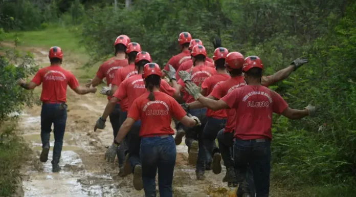 Corpo de Bombeiros Militar de SC abre concurso com salários de até R$ 21 mil Alunos do Corpo de Bombeiros Militar de Santa Catarina participam de treinamento durante curso de formação.