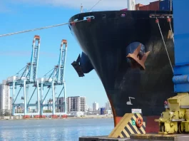 Navio cargueiro atracado no porto, utilizado para embarque e transporte de mercadorias destinadas à exportação de Santa Catarina.