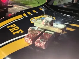 Drogas apreendidas pela PRF na BR-101 em Palhoça