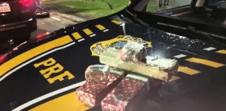 Drogas apreendidas pela PRF na BR-101 em Palhoça
