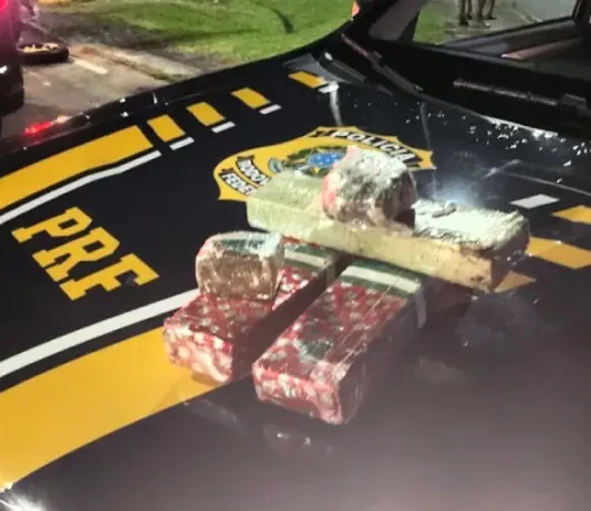 PRF prende casal após perseguição e descarte de drogas na BR-101, em Palhoça Drogas apreendidas pela PRF na BR-101 em Palhoça