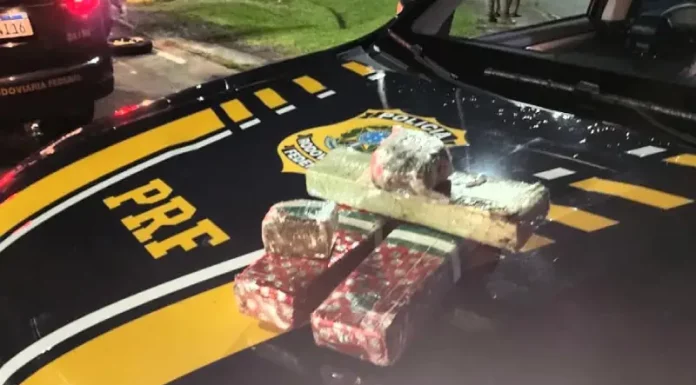 Drogas apreendidas pela PRF na BR-101 em Palhoça
