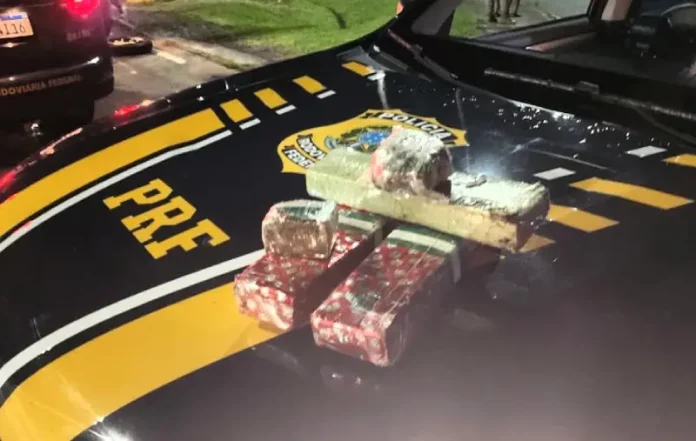 Drogas apreendidas pela PRF na BR-101 em Palhoça