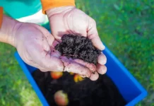 Pessoa manuseia balde com resíduos em processo de compostagem durante atividade do programa Minhoca na Cabeça.