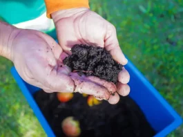 Pessoa manuseia balde com resíduos em processo de compostagem durante atividade do programa Minhoca na Cabeça.