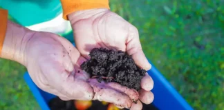 Pessoa manuseia balde com resíduos em processo de compostagem durante atividade do programa Minhoca na Cabeça.