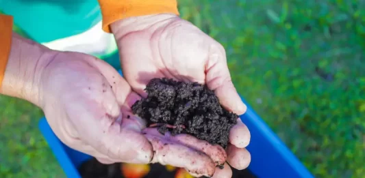Programa Minhoca na Cabeça desvia mais de 900 toneladas de resíduos do aterro sanitário em Florianópolis Pessoa manuseia balde com resíduos em processo de compostagem durante atividade do programa Minhoca na Cabeça.