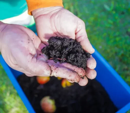 Pessoa manuseia balde com resíduos em processo de compostagem durante atividade do programa Minhoca na Cabeça.