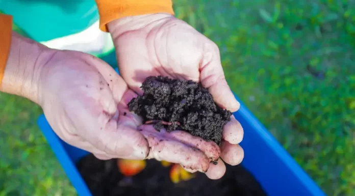 Pessoa manuseia balde com resíduos em processo de compostagem durante atividade do programa Minhoca na Cabeça.