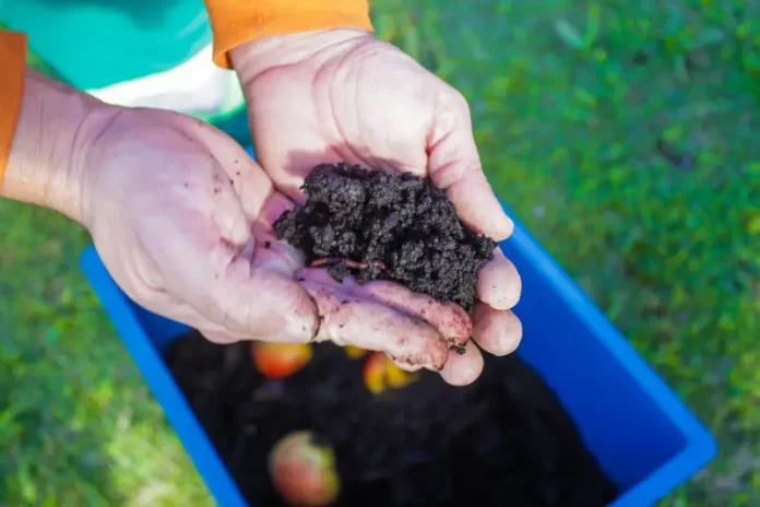 Pessoa manuseia balde com resíduos em processo de compostagem durante atividade do programa Minhoca na Cabeça.