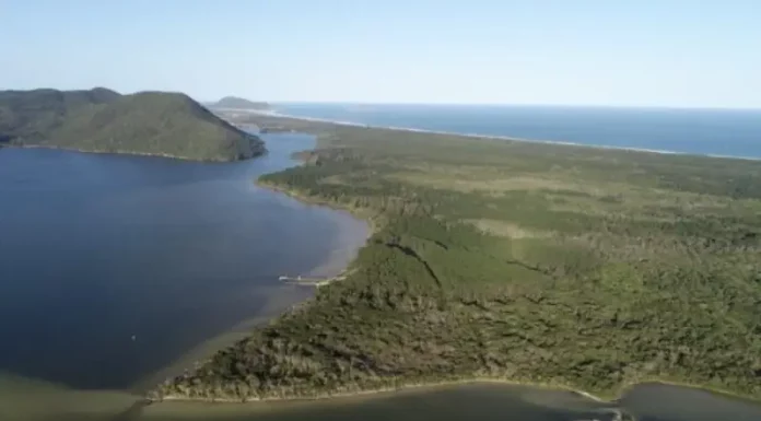 Vista aérea das terras do Quilombo Vidal Martins, em Florianópolis, área envolvida no processo de titulação suspenso pelo TRF-4.