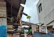 Imagem mostra itens recolhidos em residências durante ações da Prefeitura de Florianópolis para reduzir riscos sanitários em casos de transtorno de acumulação.