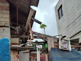 Imagem mostra itens recolhidos em residências durante ações da Prefeitura de Florianópolis para reduzir riscos sanitários em casos de transtorno de acumulação.