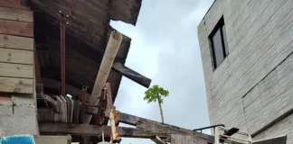 Imagem mostra itens recolhidos em residências durante ações da Prefeitura de Florianópolis para reduzir riscos sanitários em casos de transtorno de acumulação.