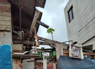 Imagem mostra itens recolhidos em residências durante ações da Prefeitura de Florianópolis para reduzir riscos sanitários em casos de transtorno de acumulação.