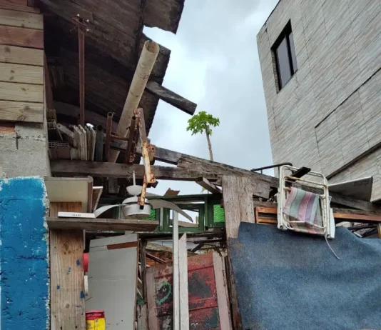 Imagem mostra itens recolhidos em residências durante ações da Prefeitura de Florianópolis para reduzir riscos sanitários em casos de transtorno de acumulação.