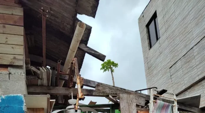 Imagem mostra itens recolhidos em residências durante ações da Prefeitura de Florianópolis para reduzir riscos sanitários em casos de transtorno de acumulação.