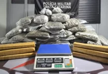 PM apreende mais de 30 quilos de drogas na área continental de Florianópolis drogas apreendidas pela PM