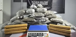 drogas apreendidas pela PM