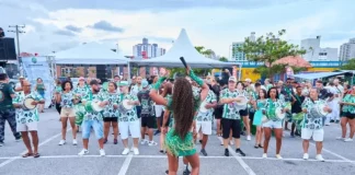 Escola de samba desfila no Carnaval de São José, mostrando fantasia, coreografia e a animação do público.