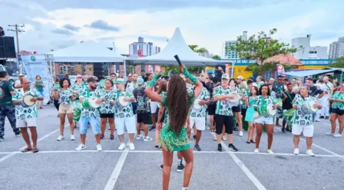 Escola de samba desfila no Carnaval de São José, mostrando fantasia, coreografia e a animação do público.