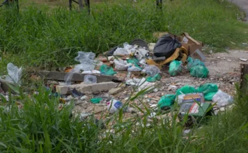 descarte irregular de lixo em terreno baldio