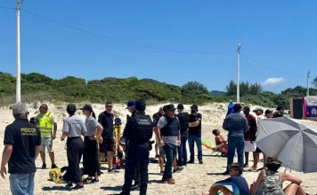 Operação integrada prende quatro pessoas e apreende materiais irregulares na praia do Campeche Fiscalização integrada na praia do Campeche reúne forças de segurança e órgãos municipais para coibir irregularidades e garantir a ordem no espaço público.