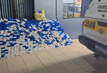 Tabletes de maconha apreendidos pela Polícia Militar Rodoviária durante operações de apreensões realizadas nas rodovias de Santa Catarina.