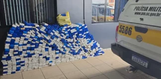 Tabletes de maconha apreendidos pela Polícia Militar Rodoviária durante operações de apreensões realizadas nas rodovias de Santa Catarina.