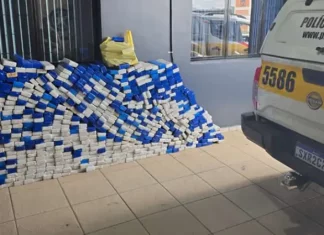 Tabletes de maconha apreendidos pela Polícia Militar Rodoviária durante operações de apreensões realizadas nas rodovias de Santa Catarina.
