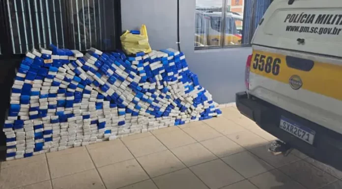 Tabletes de maconha apreendidos pela Polícia Militar Rodoviária durante operações de apreensões realizadas nas rodovias de Santa Catarina.