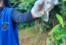 Agente de combate às endemias coleta amostra de água durante ação de fiscalização para prevenir focos do mosquito da dengue.