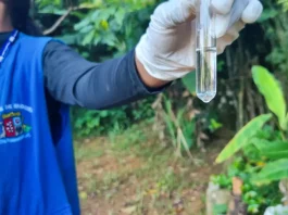 Agente de combate às endemias coleta amostra de água durante ação de fiscalização para prevenir focos do mosquito da dengue.