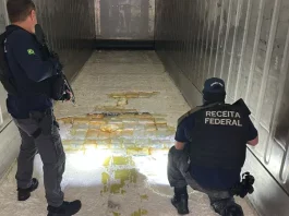 Agentes da Receita Federal vistoriam carga de maconha apreendida em caminhão