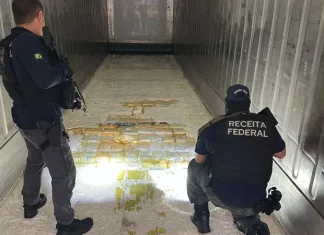 Agentes da Receita Federal vistoriam carga de maconha apreendida em caminhão
